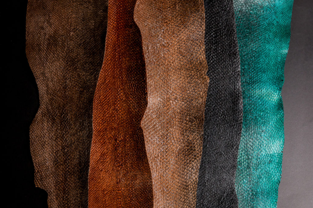 Sustainable fish leather, salmon leather